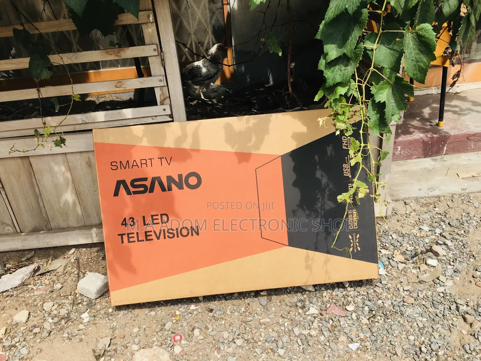 Asano 43” Smart Led Television