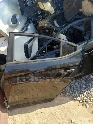Hyundai Elantra Door 2016,2017,2018,2019,2020