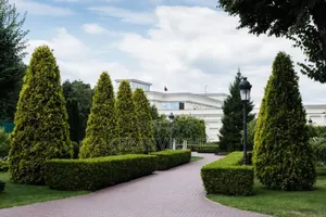 Creative Landscaping