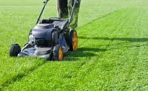 Lawn Mowing