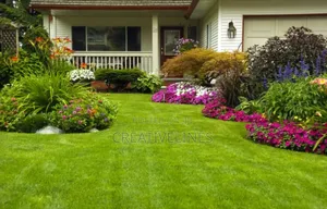 Lawn Mowing