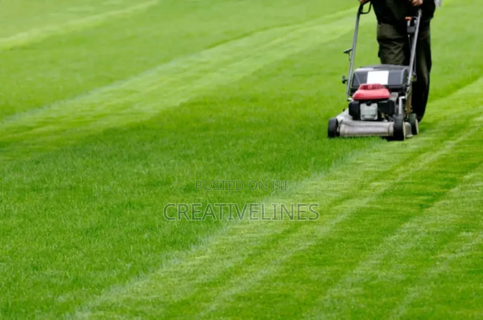Lawn Mowing