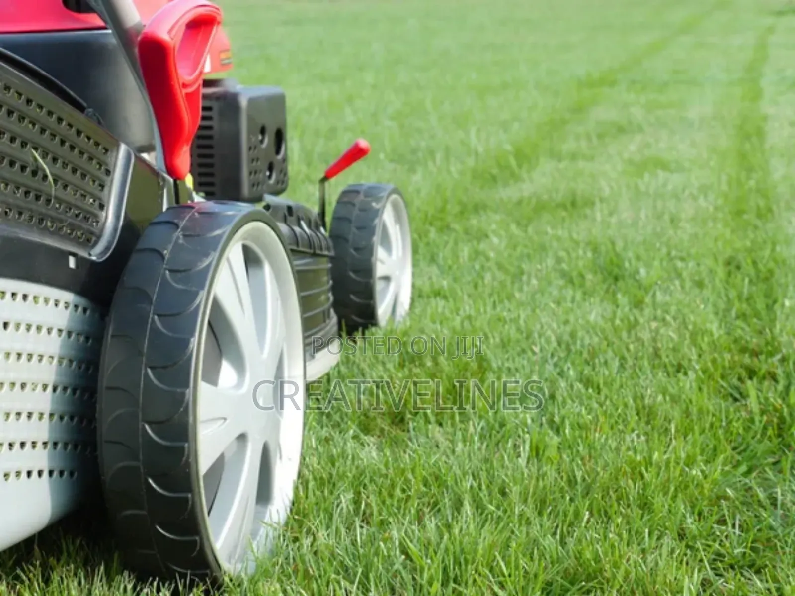 Lawn Mowing