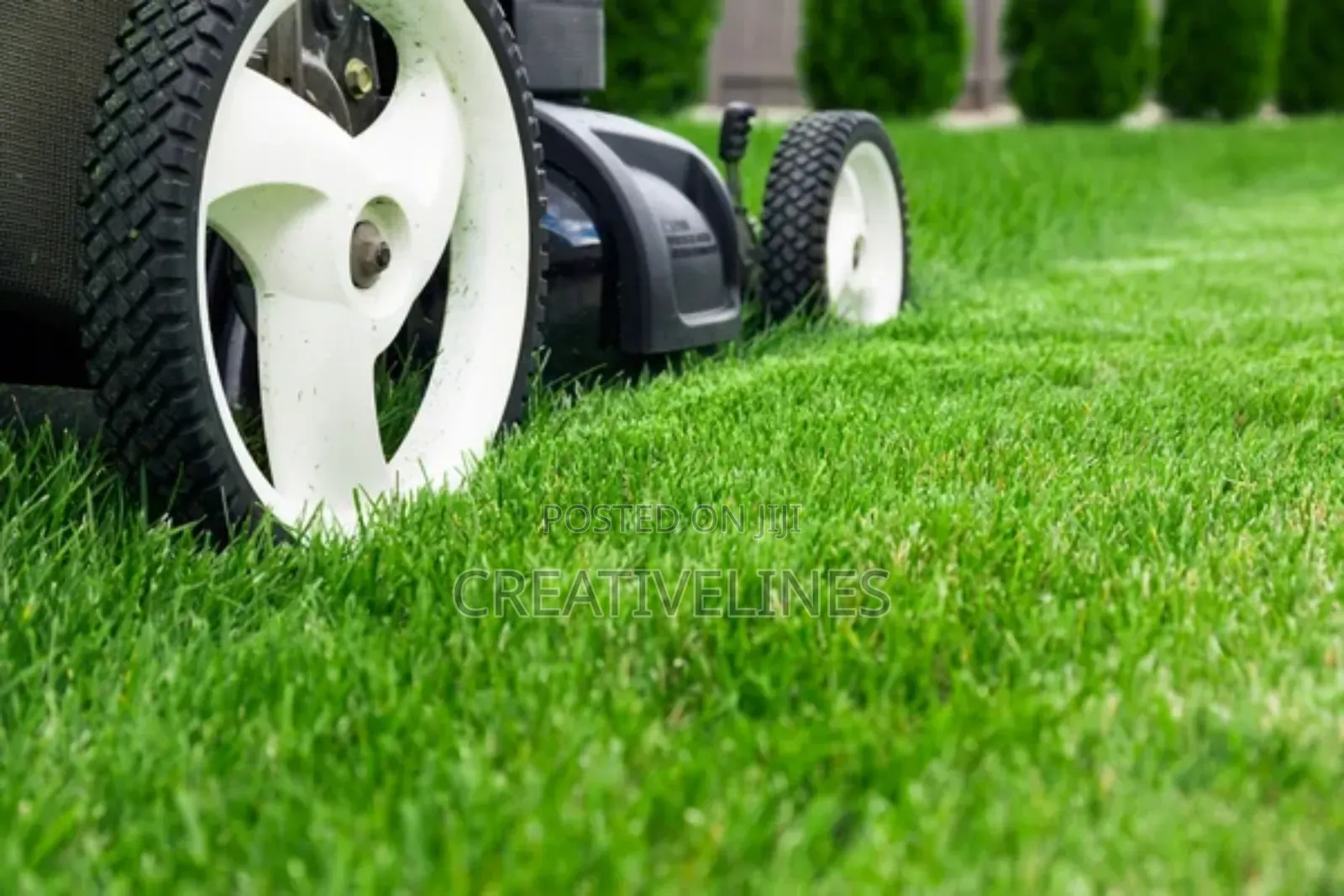 Lawn Mowing