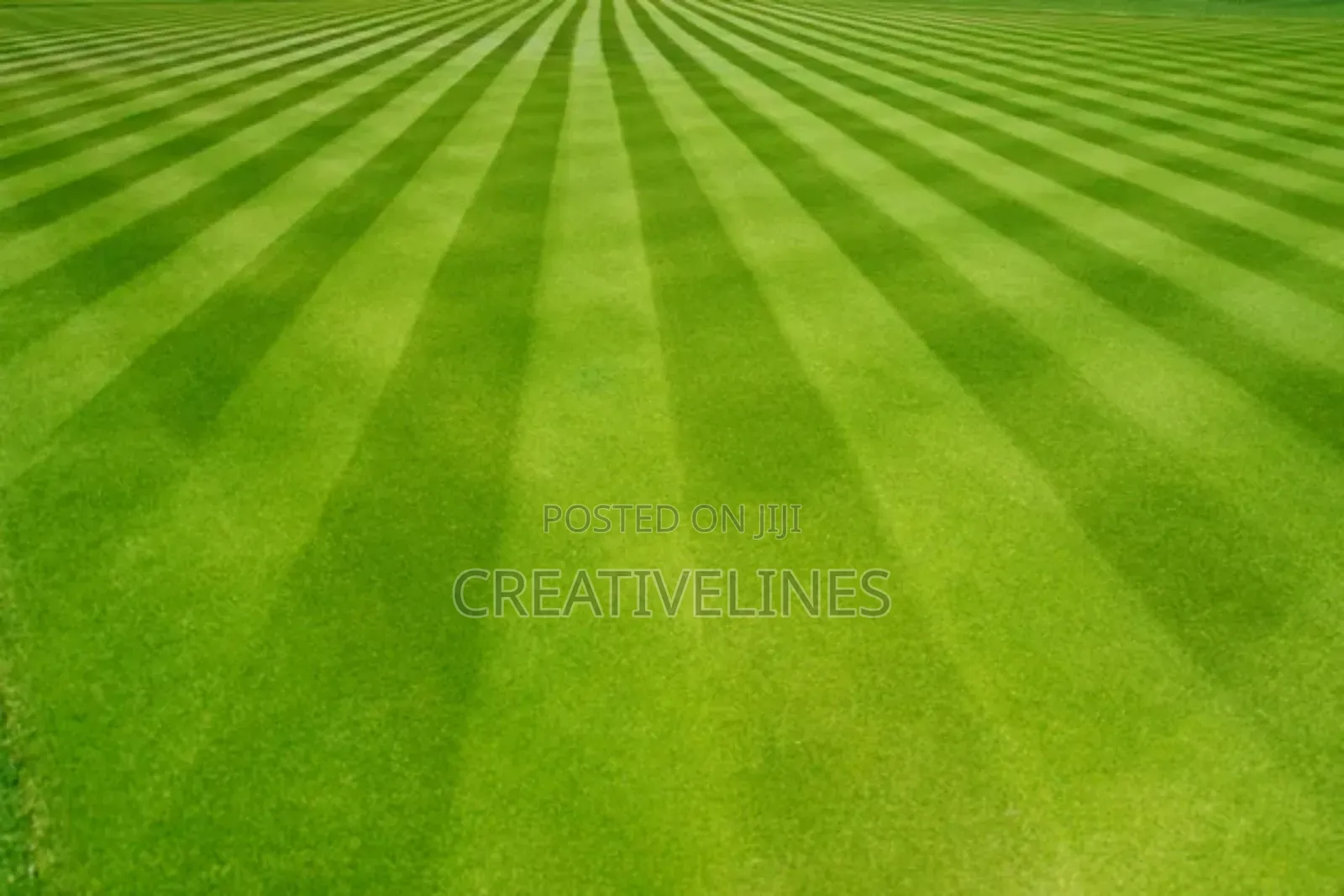 Lawn Mowing