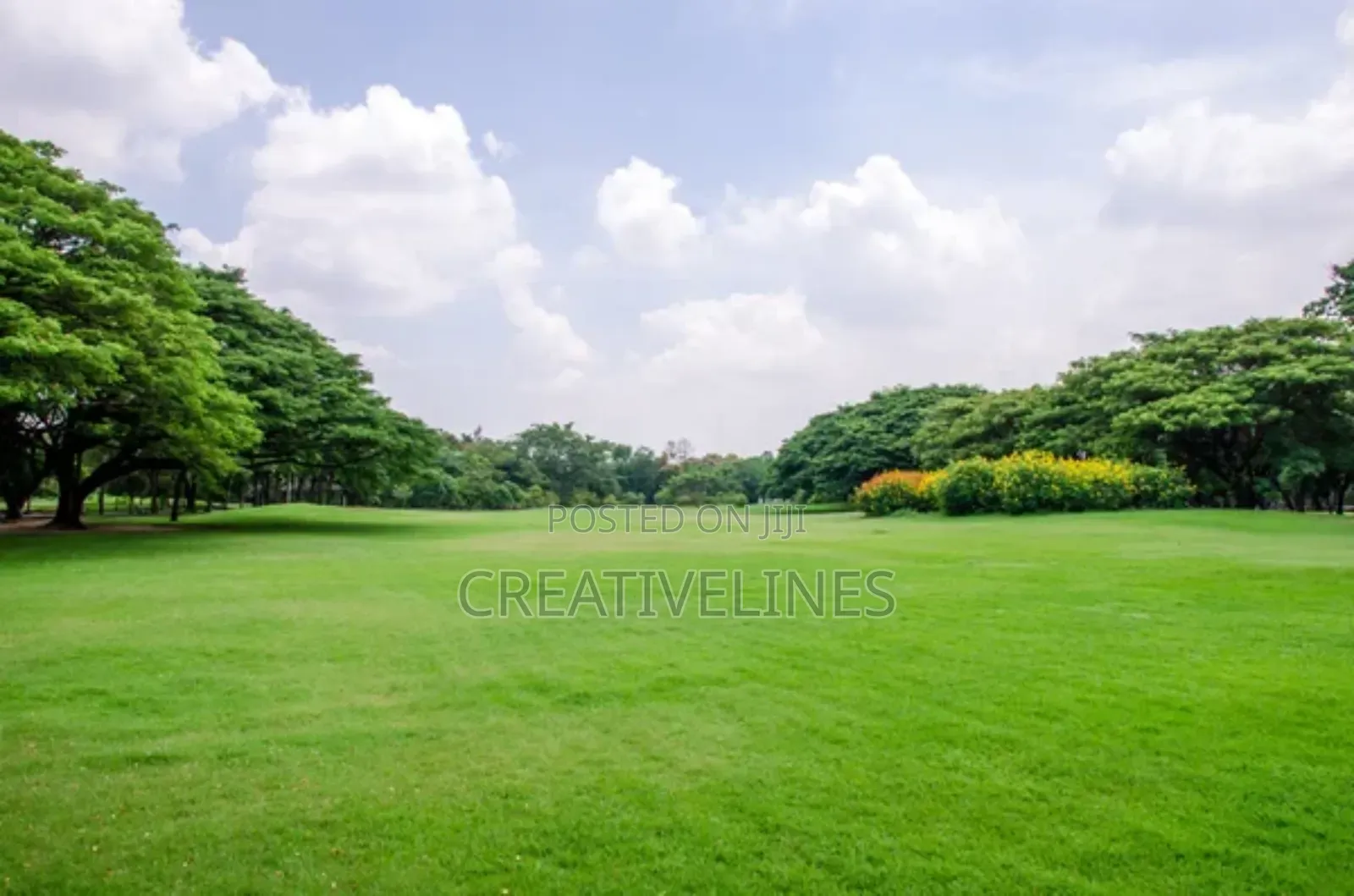 Lawn Mowing