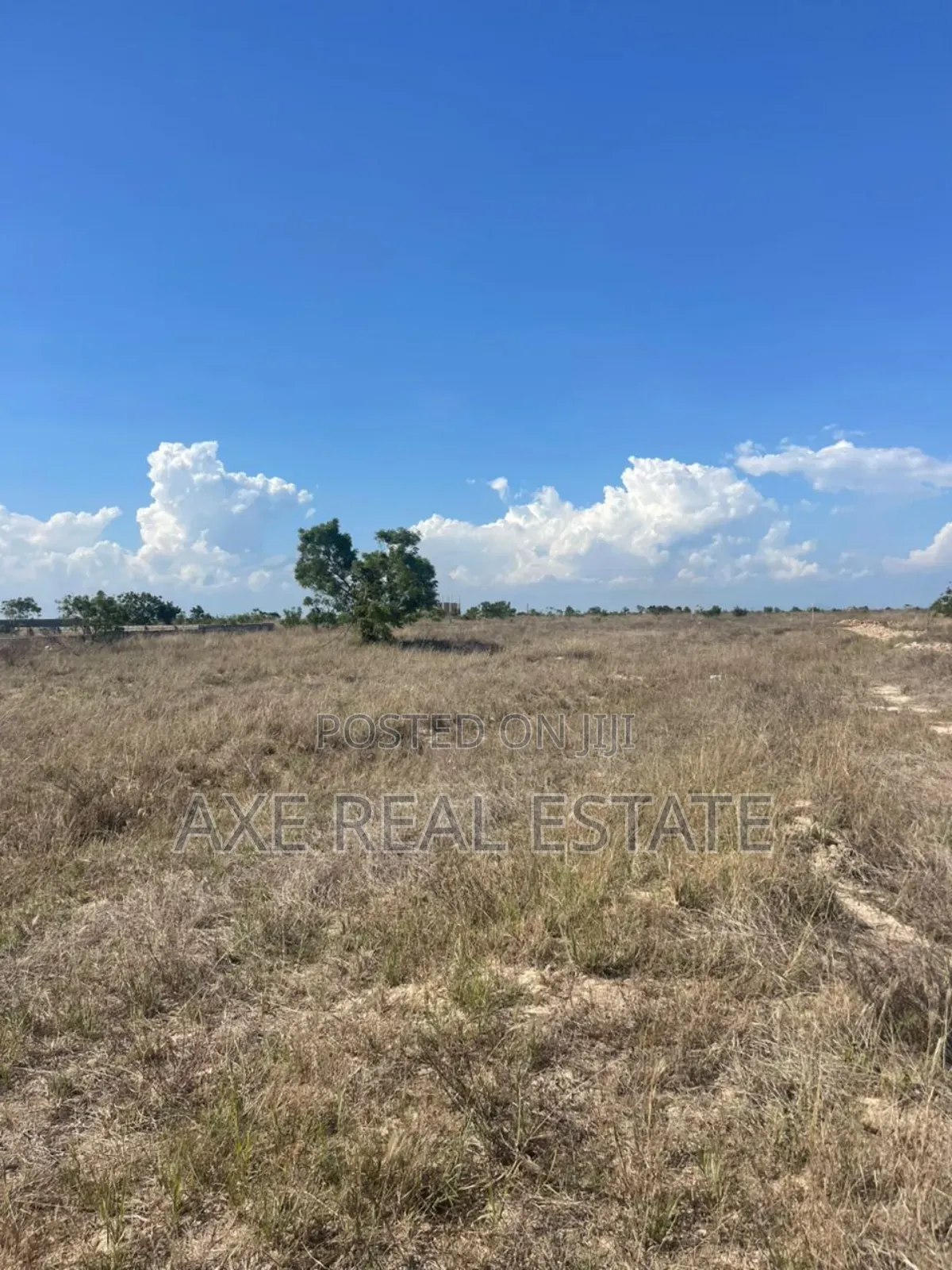Trusted Estate Full Plots at Prampram