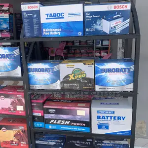 Automotive Car Batteries