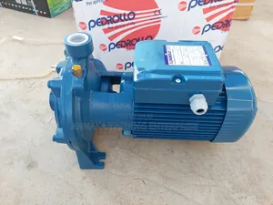Pedrollo Water Pump