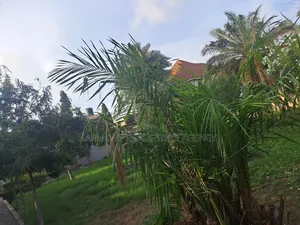5bdrm House in Dzorwulu for rent