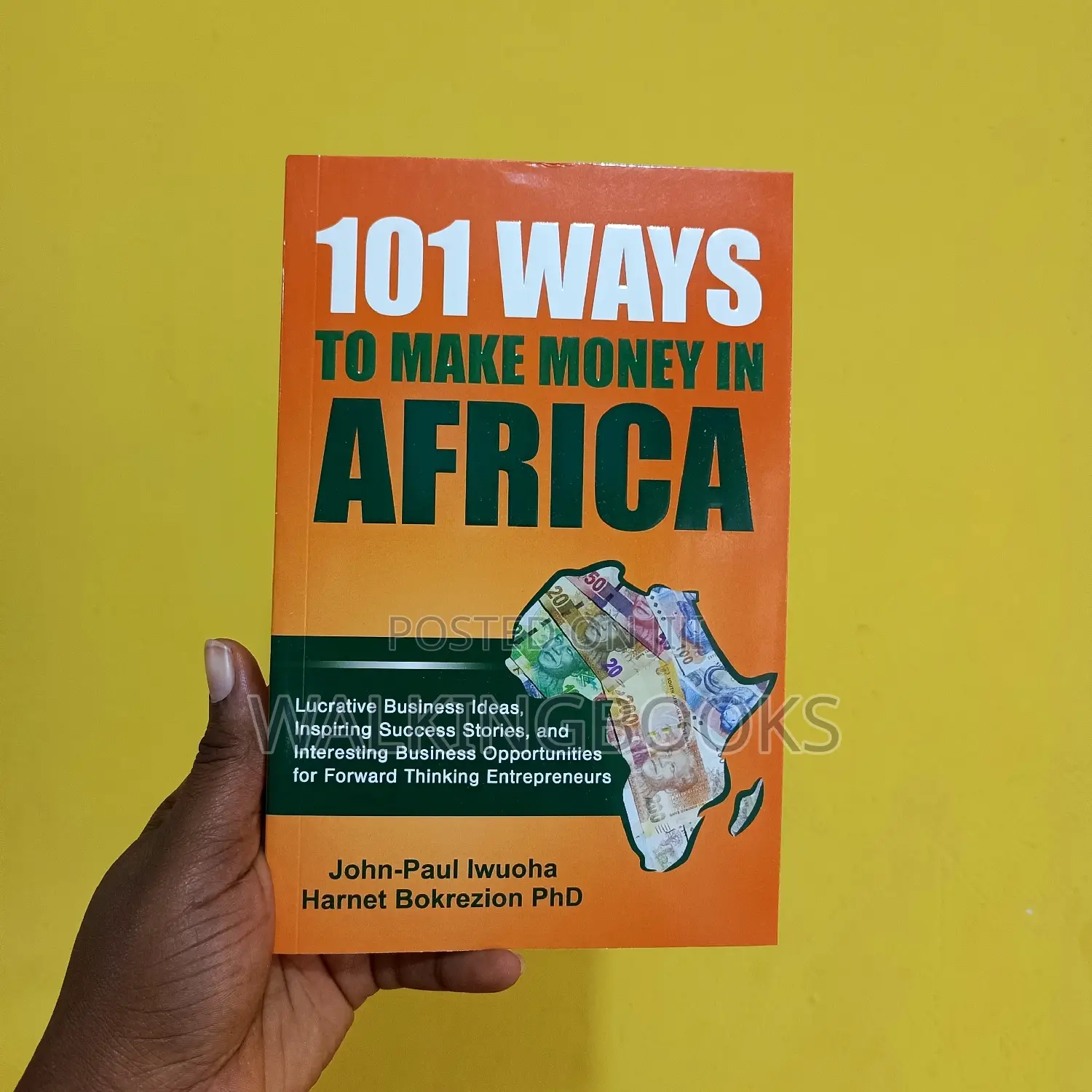 101 Ways to Make Money in Africa: