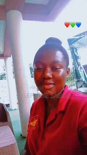 Application for Sales Position