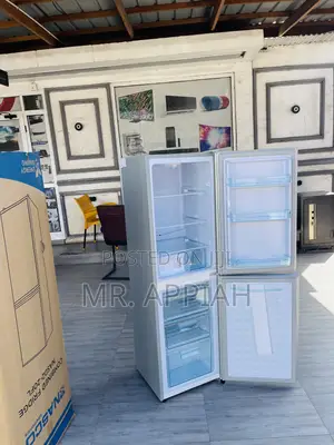 Latest in Stock Nasco Electric Fridge Nasf2-20fl(Silver)