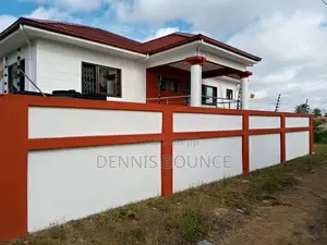 Professional Painters