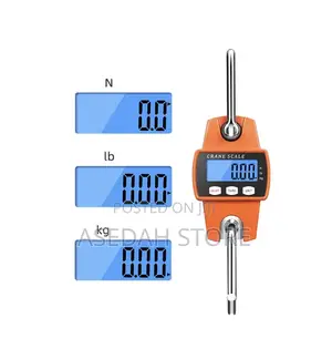 Portable Digital Electronic 300kg Mini Crane Scale
