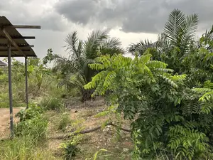 One Plot for Sale at Sokoban,Ampabame.