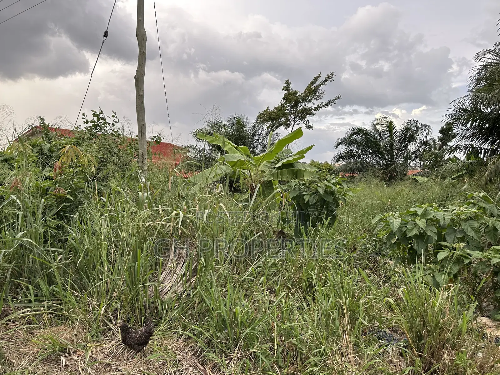 One Plot for Sale at Sokoban,Kwaso