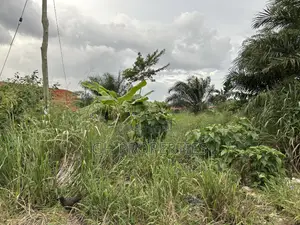 One Plot for Sale at Sokoban,Kwaso