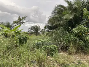 One Plot for Sale at Sokoban,Kwaso