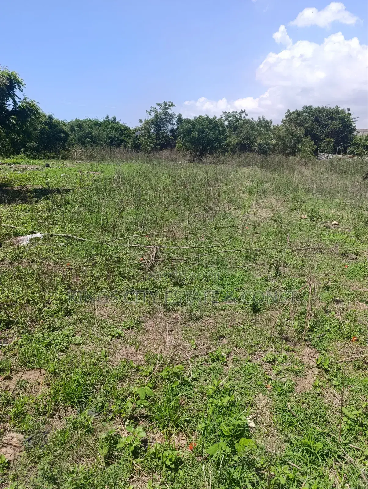 Commercial Land for Sale at Tema Motorway Ext (4.17 Acres)