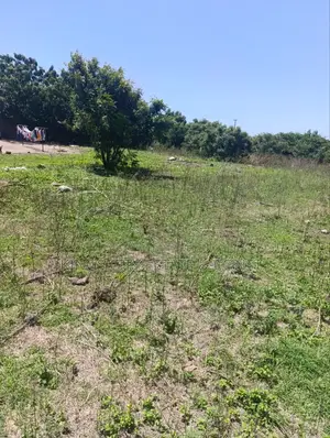 Commercial Land for Sale at Tema Motorway Ext (4.17 Acres)