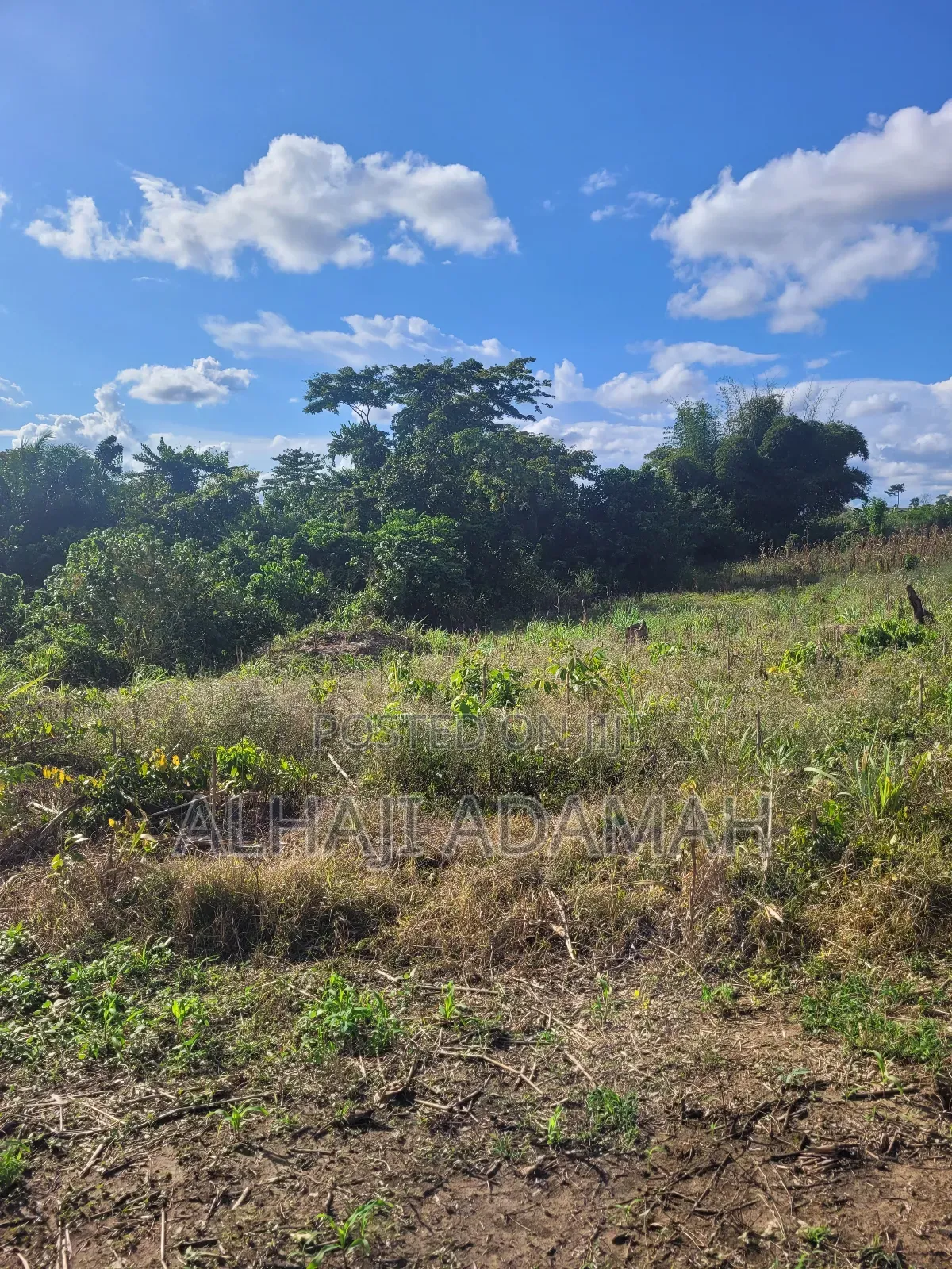 Land for Sale at Brofoyedro Ampemanim Kokoben