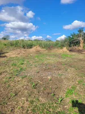 Land for Sale at Brofoyedro Ampemanim Kokoben