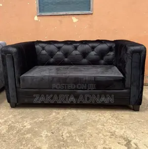 Double Seats Sofa Furniture