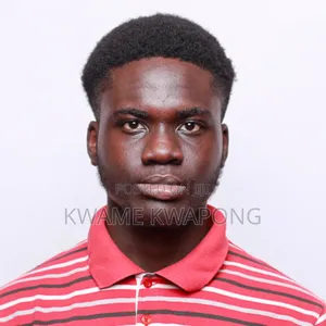 Web Developer