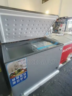Nexus 316L Silver Chest Freezer