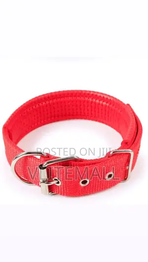 Dog Collar Size 4cm X68cm