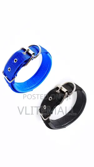 Dog Collar Size 2.5cm X 58cm