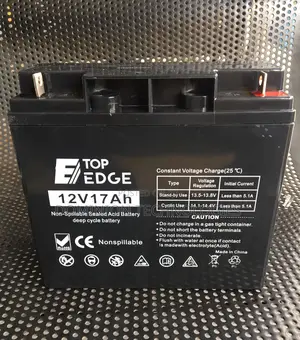 Top Edge 12v/17ah Ups Battery