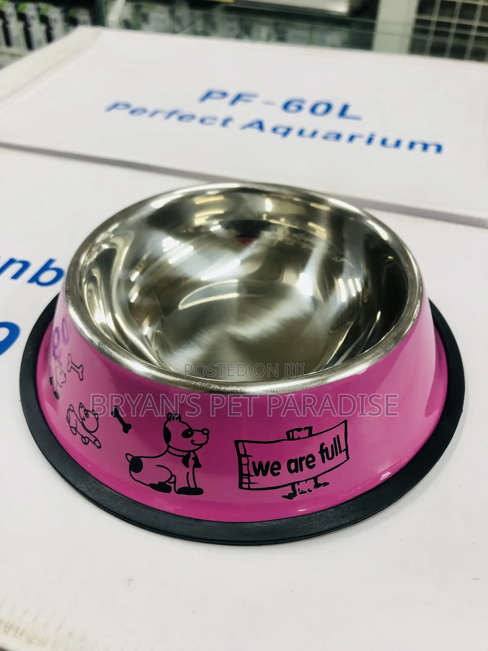 Medium Size Pet Bowls