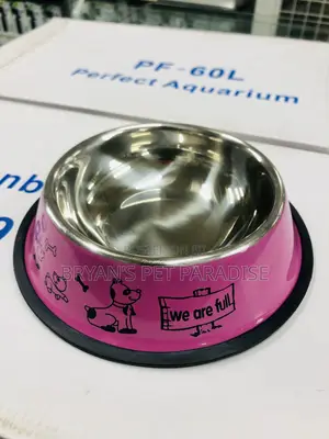 Medium Size Pet Bowls