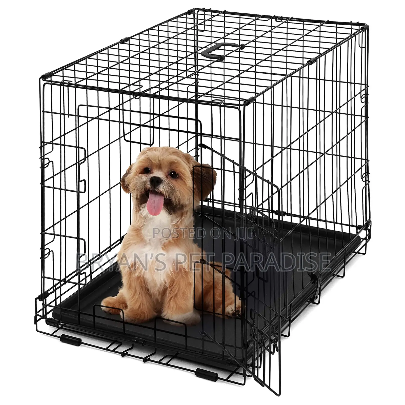 Medium Size Poodle Cages Available