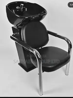 Salon Hair Washer