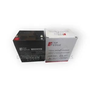 Top Edge 12V 4.5ah UPS Battery