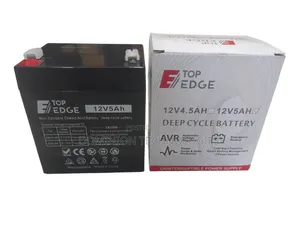 Top Edge 12v 5ah Ups Battery