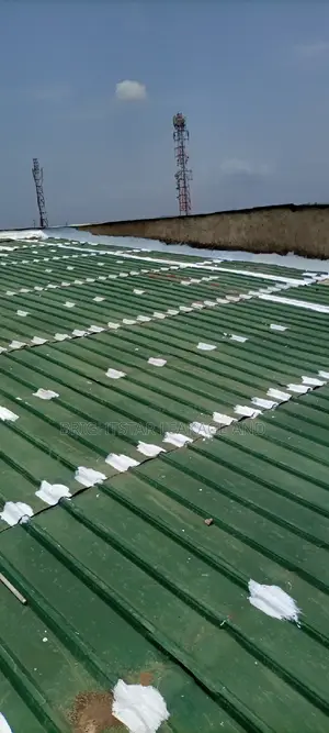 Roof Leakage Repairs