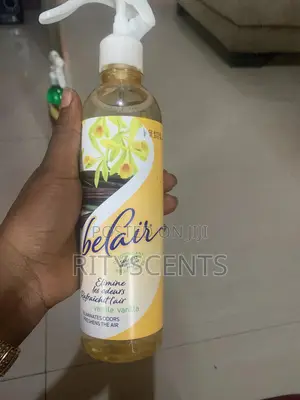 Affordable but Nice Air Freshener(Belair )