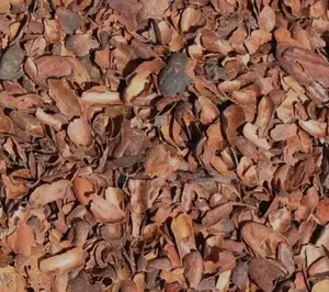 Cocoa Husk