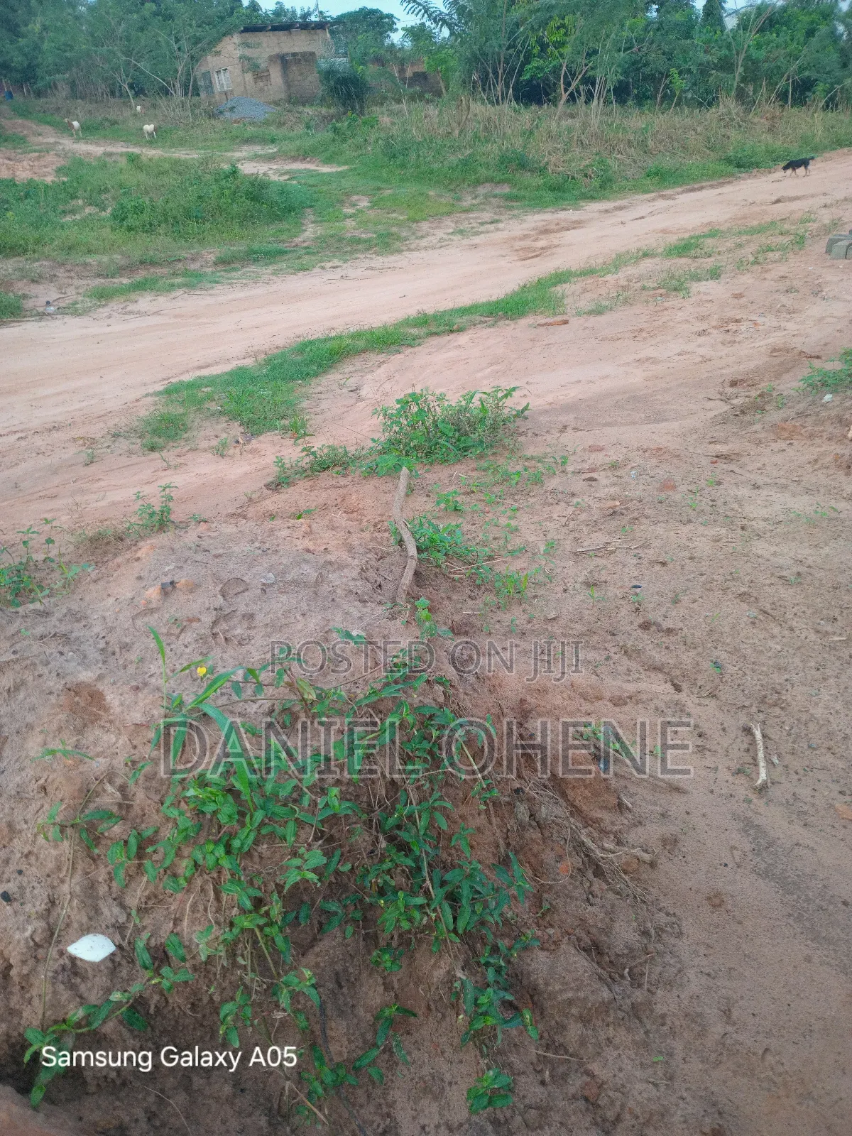 Half Plot of Land for Sale, Registered Land