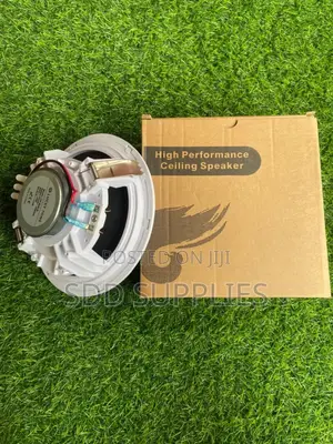 6 Inch Full Range Rimless Ceiling Speaker Wholesale