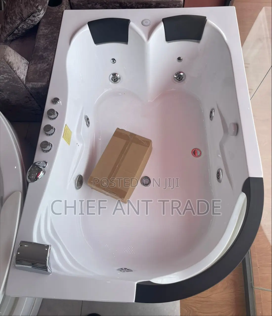 Bluetooth Massaging Jacuzzi Bath. TLP-665