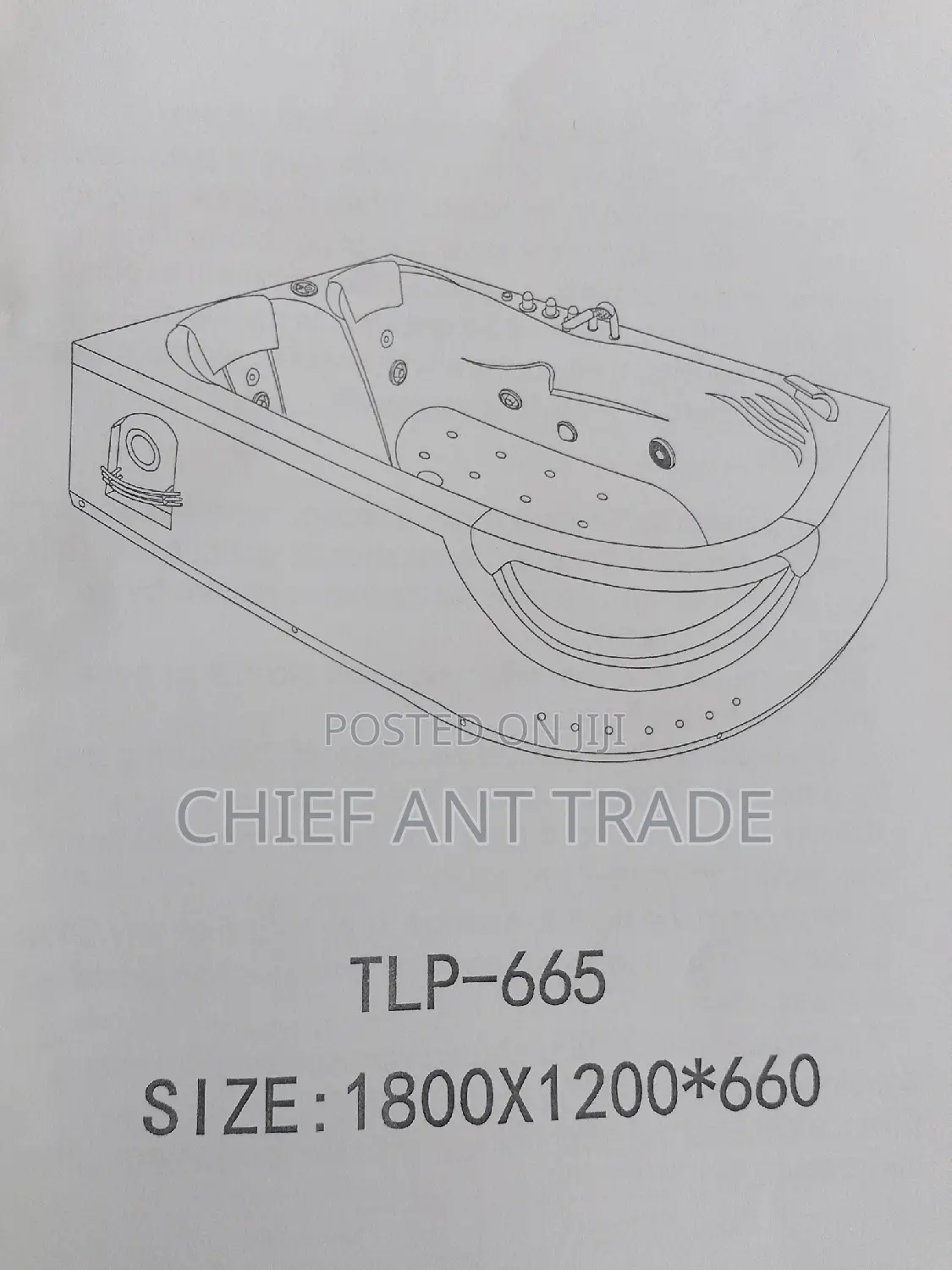 Bluetooth Massaging Jacuzzi Bath. TLP-665