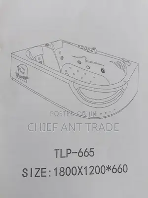 Bluetooth Massaging Jacuzzi Bath. TLP-665