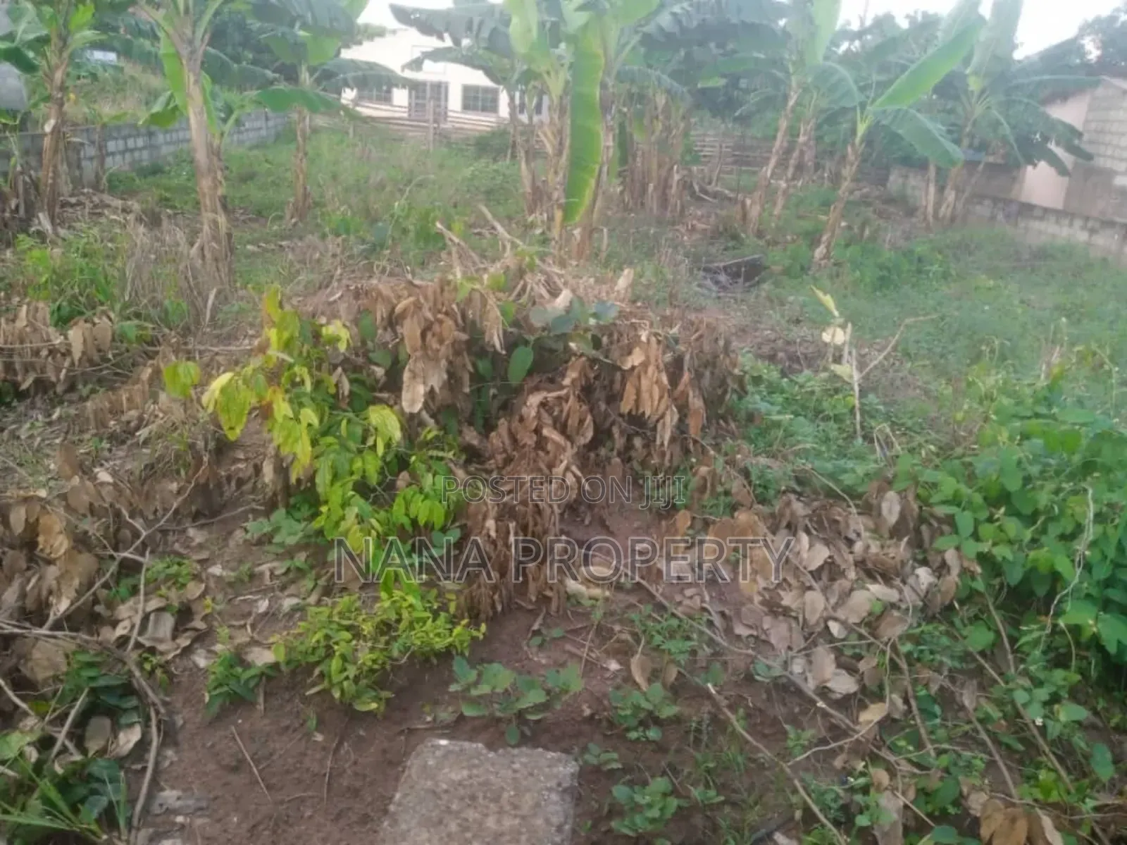 One and Half Plot of Land for Sale Located at Oyarifa Kuotaa