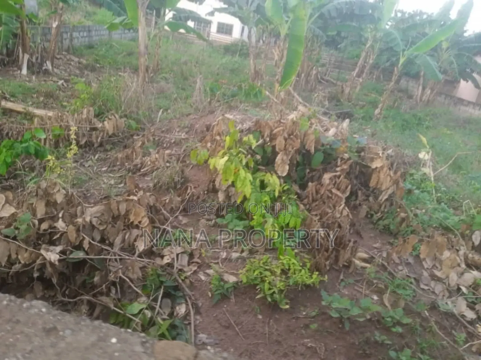 One and Half Plot of Land for Sale Located at Oyarifa Kuotaa
