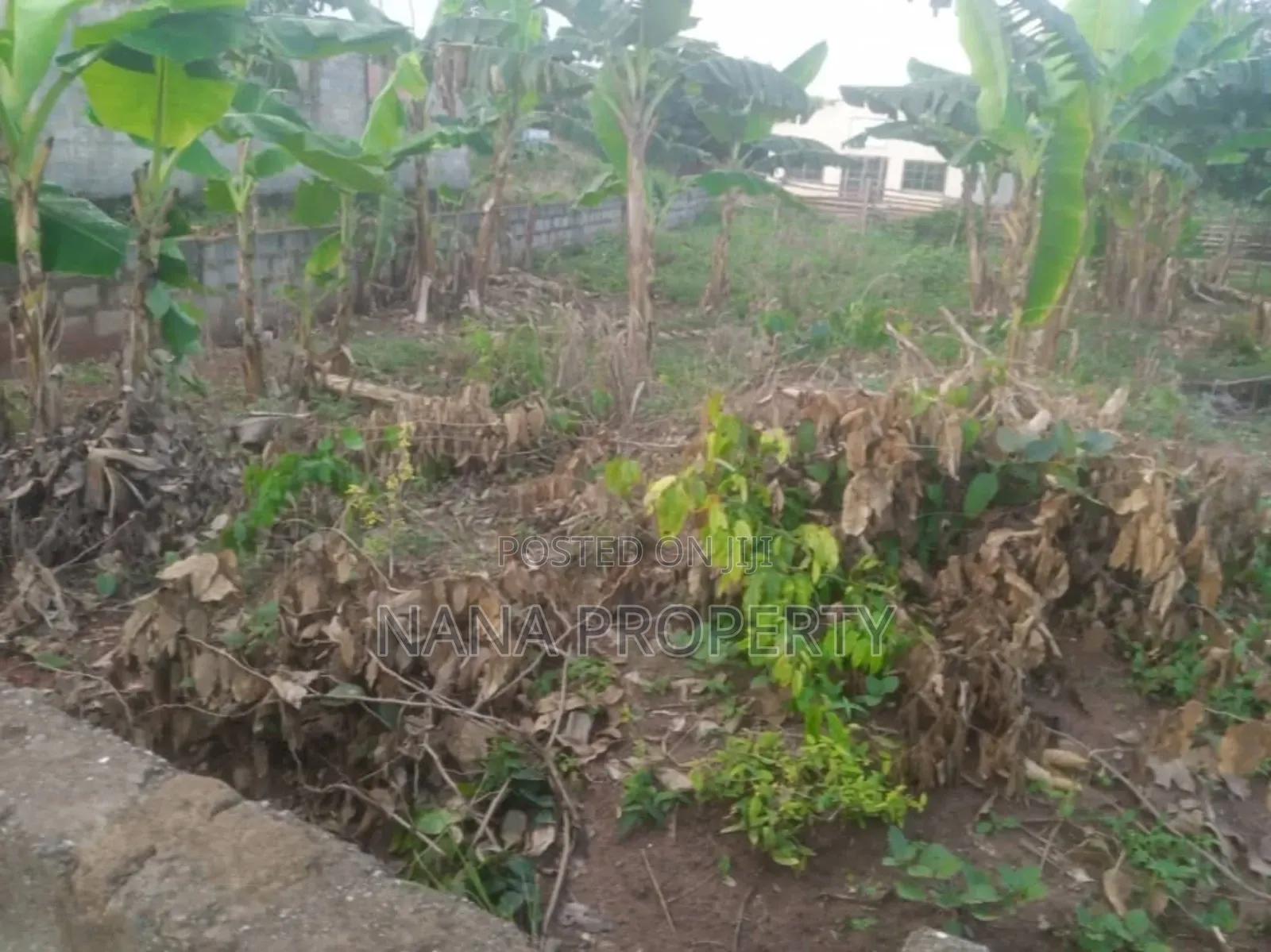 One and Half Plot of Land for Sale Located at Oyarifa Kuotaa